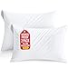 Utopia Bedding Waterproof Zippered Pillow Encasement Bed Bug Proof Pillow Cover Protects Against Dust Mite, Bacteria, Allergens - Polyester Jersey Fabric Pillow Protector (White, Queen)