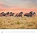 DUMONT - Beloved Horses 2026 - Wall Calendar 38 x 36 cm - Horse Photography by Christiane Slawik for Horse Lovers: Beloved Horses - Adorables Chevaux