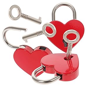 Nulylu Heart-Shaped Love Padlocks Set