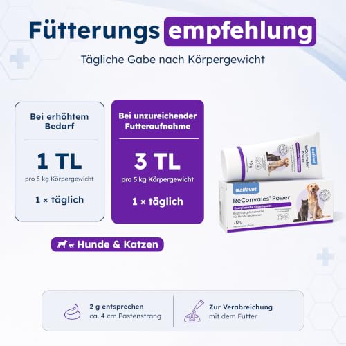 Alfavet ReConvales Power Paste - Ergänzungsfutter für Hund & Katze, 70 g