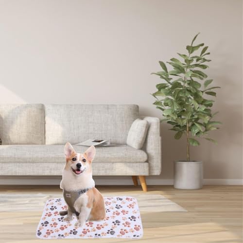 3 Stück Katzendecke, 40X60 cm Katzendecke Für Katzen, Kuscheldecke Hund Waschbar Und Flauschig Weiche Und Warme Decken Haustiere für Kleine Mittlere Hunde Katzen Haustierdecke Schlafmatte