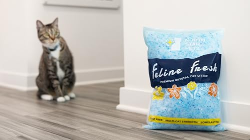 North Star Pets CL01 Feline Fresh Premium Crystal Cat Litter thumb #6