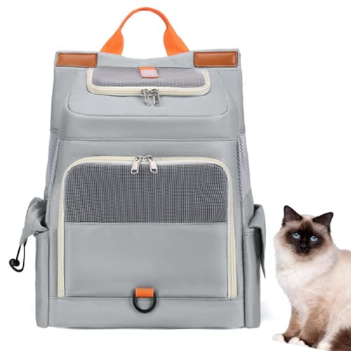 Lifetipso[} Birman ybgbN L[ ʋCbV J[et y ˃e[v яoh~ h  @\ bN^ybgL[ ^ ^ L s ʉ@ ] d [|Pbgt ܂肽 gѕ