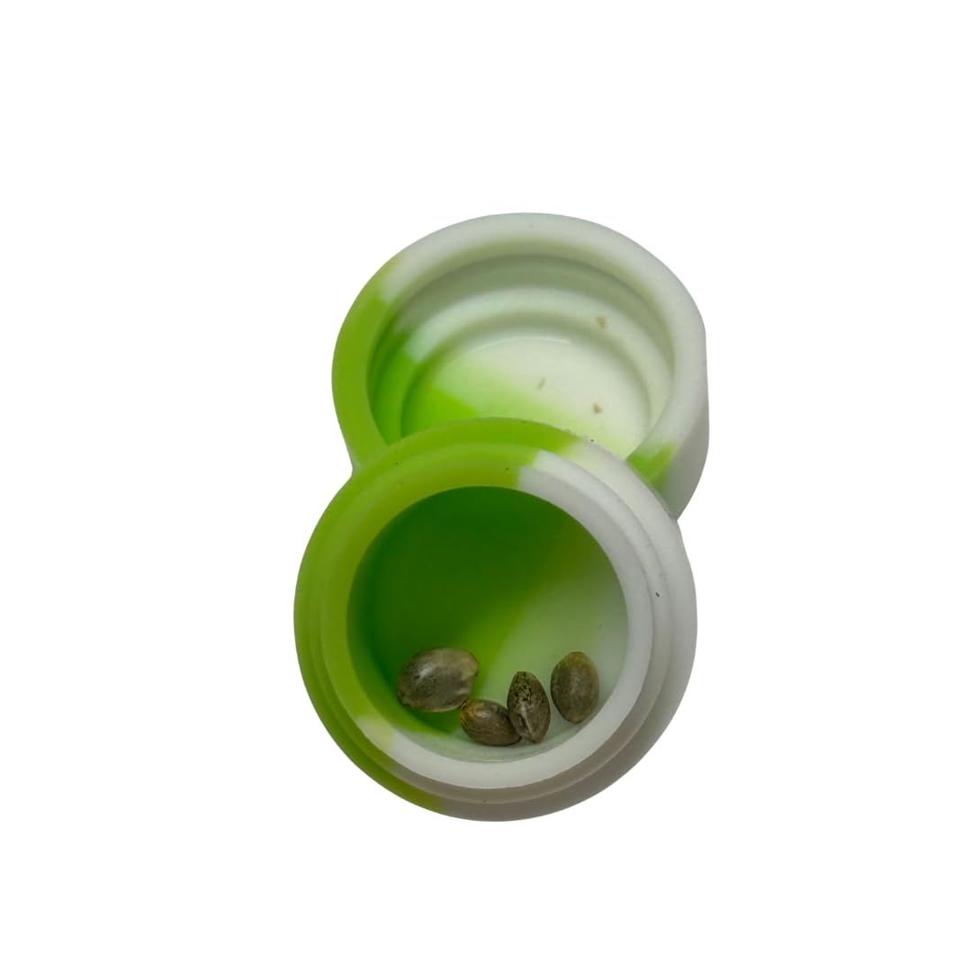 | Semi da collezione | Banana Punch | Ad alto potenziale | 4 semi più kit di germinazione |