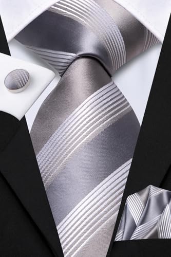 Image of Hi-Tie Mens Paisley Floral Striped Ties Set Silk Necktie and Lapel Pin for Men Pocket Square Cufflinks Set Business Wedding