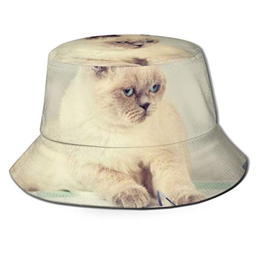 Flat Top Breathable Bucket Hats Ragdoll Cat Read Book Unisex Funny Bucket Hat Summer Fisherman's Hat