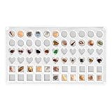 Caja de exhibición de conchas - Organizador de joyería de 66 cuadros | Caja de acrílico para colección de conchas - Para pequeñas estrellas de mar Pulseras Collares Pendientes Pendientes Pendientes