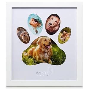 Green Pollywog,5-Opening Paw Print Collage Frame,Paw Print Picture Frame,Dog Frame for Pictures,Dog Mom Frame,Dog Dad Frame,Dog Paw Print Gifts,Pet Memorial Picture Frame,Pawprint Frame Green Pollywog5 Opening Paw Print Collage FramePaw Print Picture FrameDog Frame for PicturesDog Mom FrameDog Dad FrameDog Paw Print GiftsPet Memorial Picture FramePawprint Frame