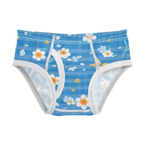 KLL Blue Gingham Boys Toddler Soft Training Underwear Cute Children Undies