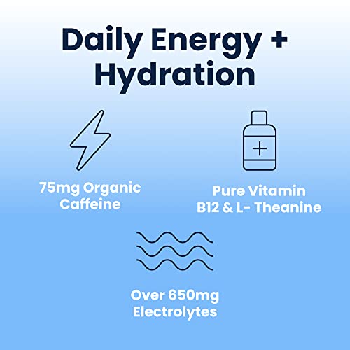 Nectar Energy Booster - Organic Caffeine, B12 & Electrolytes - Sugar Free & Zero Calorie – Healthy Coffee, Energy Drink & Soda Alternative – Hydration & Energy Supplement (Variety 30 Powder Packets) #TOP2