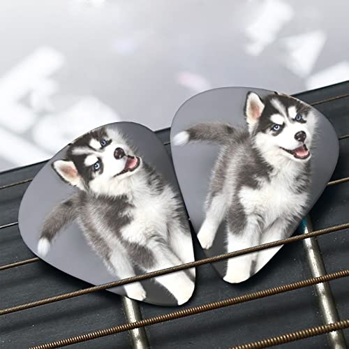 Ensemble de 12 médiators de guitare pour chien Husky mignon pour guitare acoustique, guitare électrique, contrebasse… - Les Beatles, Paul McCartney, John Lennon, RIngo Starr, George Harrison Ensemble de 12 médiators de guitare pour chien Husky mignon pour guitare acoustique, guitare électrique, contrebasse… – Image 8