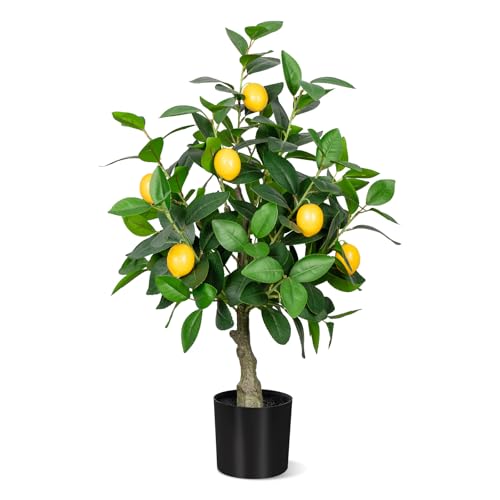 HoyuKasi 2.5FT Artificial Lemon Tree,2.5 Feet(30in) Fake Lemon Tree with Black Pot Faux Plant Indoor for Home,Decor,Office,Living Room