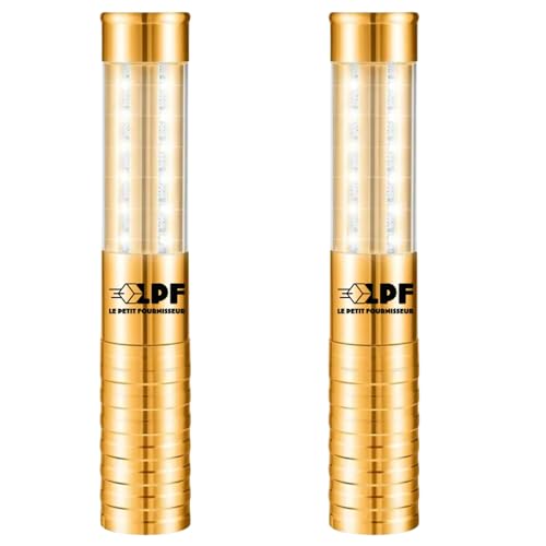 LPF LE PETIT FOURNISSEUR - Lot de 2 Bâtons LED Lumineux Bouteille Rechargeable – 3 Modes d’Éclairage (Strob, Intense, Ambiance) – Alternative Fontaine...