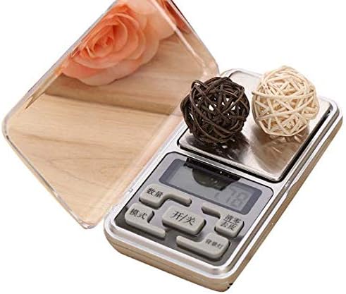 The Electronic Scale