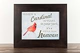 Summer Snow When A Cardinal Appears in Your Yard Visitor from Heaven Religious Sympathy Art Decor 13x16