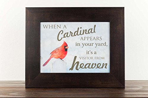 Summer Snow When A Cardinal Appears in Your Yard Visitor from Heaven Religious Sympathy Art Decor 13x16