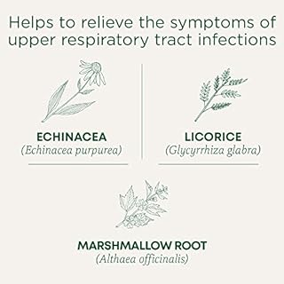 Traditional Medicinals - Organic Throat Coat Lemon Echinacea Herbal Tea (Pack of 1) - Helps Relieve Symptoms of Upper Respiratory Tract Infection - Sustainably Sourced Fair Wild Ingredients - 16 Tea Bags Total