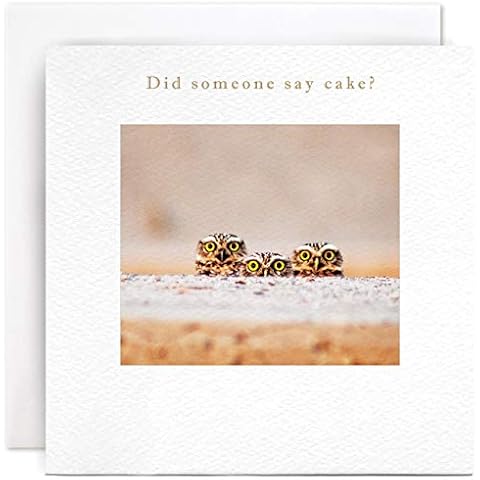Susan O'Hanlon Blank Birthday Card - Owls Cover