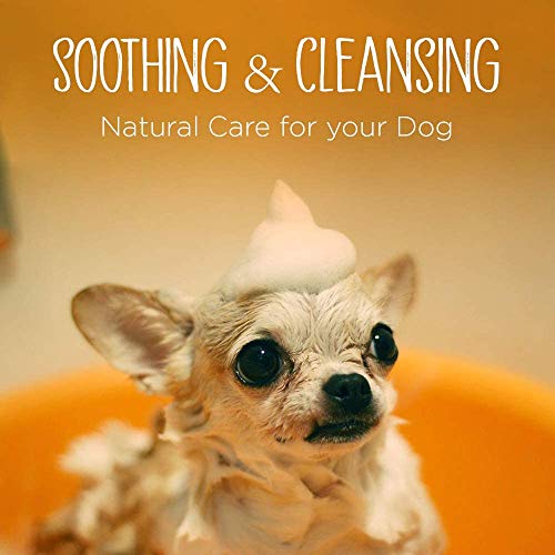 Dhohoo 2-In-1 Dog Shampoo and Conditioner with Brush, Relief Skin Itchy Dry Dog Shampoo, All Natural Ingredients Dog… - Image 3