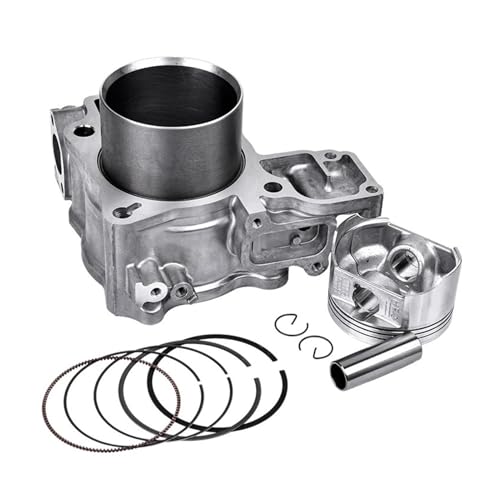 Segments de piston anti-consommation huile moteur NSS300 F300 13-17
