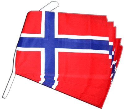 Guirlande de pavillons Norvège Digni de 8,9 m de long