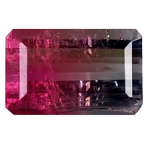 Tourmaline pastèque Mozambique 1.35 ct pierre précieuse octogone en vrac