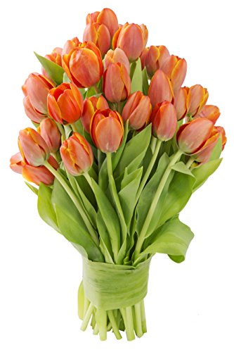 KaBloom-50 Orange Tulip Bouquet,Flowers for Valentine, Mother's Day