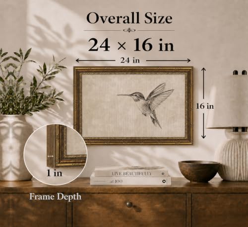 Image of Gold Framed 3D Textured Wall Art, Vintage Sketch Hummingbird Canvas Prints, Minimalist Neutral Birds Pictures Decor, Antique Naturalist Specimen Painting Artwork for Living Room Bathroom 16x24 in