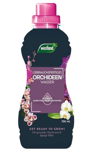 Westland Orchideen Wasser, 750 ml – Pflanzendünger für gesundes Wachstum, Flüssigdünger mit praktischer Dosierhilfe, Gießen und Düngen in Einem