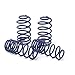 H&R Sport Springs