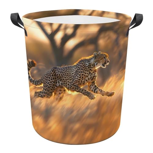 Ronda Cestos Para La Colada Carrera De...