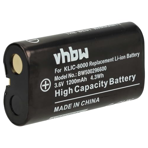 Spedizione: 1x batteria | Non compatibile con Ricoh Caplio R1V