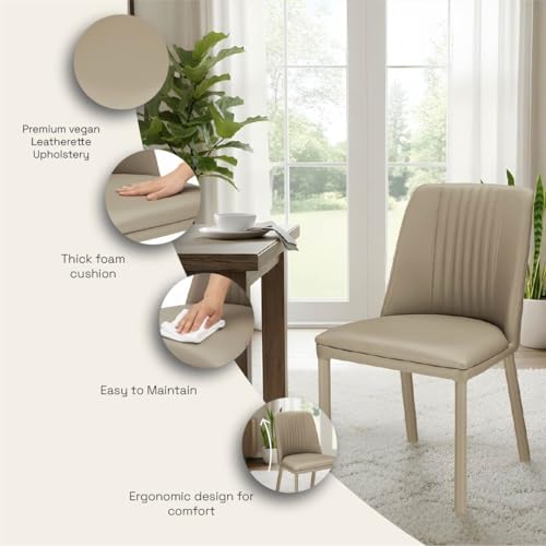 Image of Wakefit Taco Metal Dining Chair I Set of 2 I Leatherette Beige