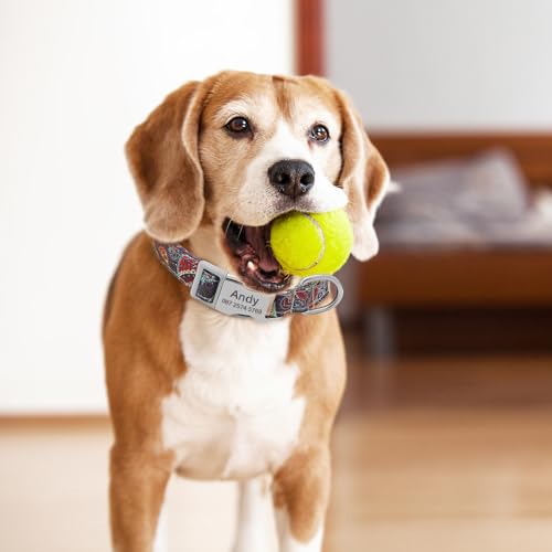 Personalisiertes Hundehalsband Mit Namen & Telefonnummer, Verstellbares Halsband für kleine, mittlere & große Hunde – Individuell für Rüden & Hündinnen (Lila)