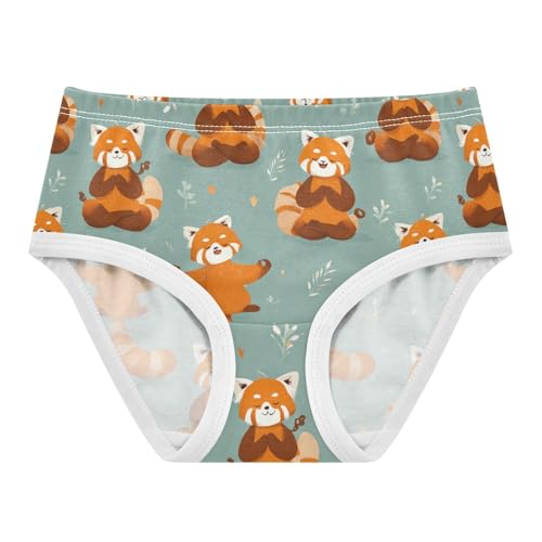 Wusikd Red Pandas Doing Yoga Girls' Underwear Cotton Girls Briefs Soft Toddler Underwear 2T