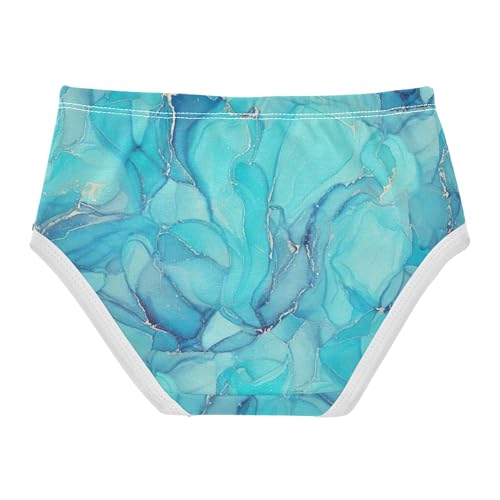 Abstract Marble Blue Ripples Girls Underwear Toddlers 2t Cotton Little Girl Panties Aesthetic Briefs Girls Undies2