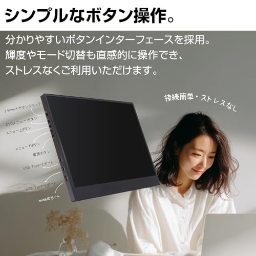 Amazon.co.jp: WINTEN（ウィンテン）: モバイルモニター