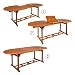 Aktive 61026 - Mesa ovalada e x tensible en madera acacia Garden