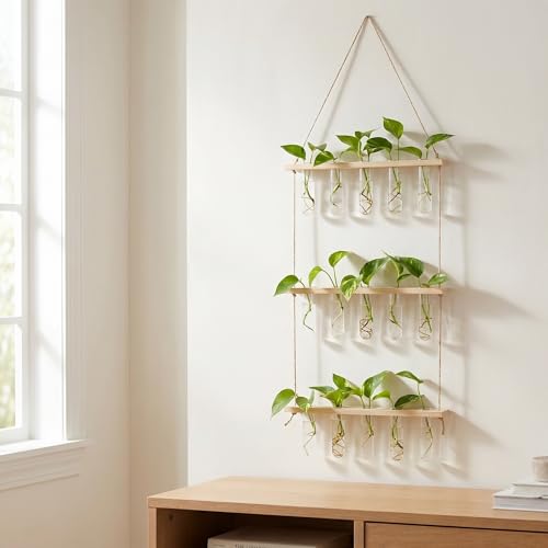 Florero hidropónico de 3 niveles para decorar paredes sin ocupar espacio 6