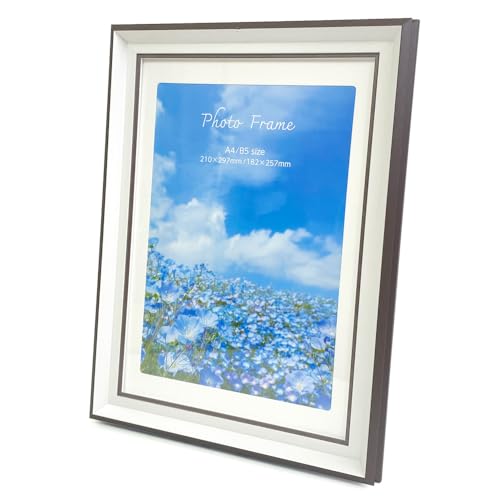 iJoV tHgt[02 A4/B5 O[W ʐ^ IT-FL-PS02-A4-GJ