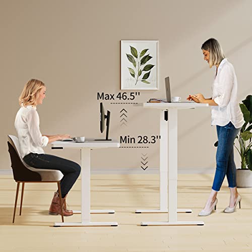 Joy Seeker Electric Standing Desk, Whole Piece 48 X 24 Inches Adjustable Height Desk, Modern Sit Stand Up Desk With Memory Controller, Ergonomic Rising Desk For Home Office Workstation, White #TOP2