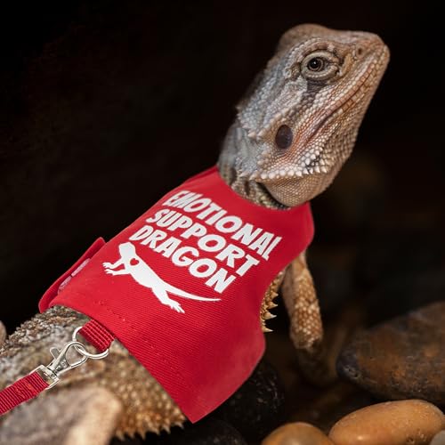 Image of Bearded Dragon Harness and Leash Set - Escape Proof Adjustable Lizard Reptiles Harness with 5 ft Short Leash for Walking Outdoor