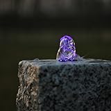 LED Ring Beleuchtung mit 6 violetten LEDs.