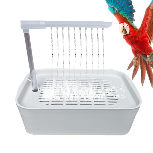 Douche pour oiseaux : baignoire électrique pour calopsitte - 7