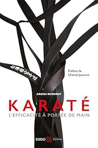 Livres Couvertures de Karaté : l'efficacité à portée de main