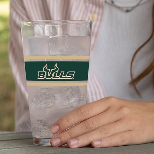 Image of Logo Brands NCAA 16 oz Pint Glass - Durable Glass With Bold Team Color- Chip-Resistant Rim Drinkware For Fans, Tailgates, Home Bars & Everyday Use