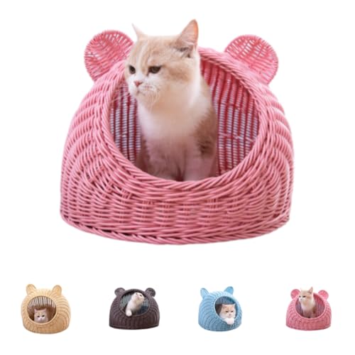 SandqvipaL 􂦂 LbgnEX h[    ~ ybgnEX h[^ L nEX xbh ʔN Lbgxbh  ې \ ҂ ʋC [ g[ I[V[Y K (i50×50j,sN)