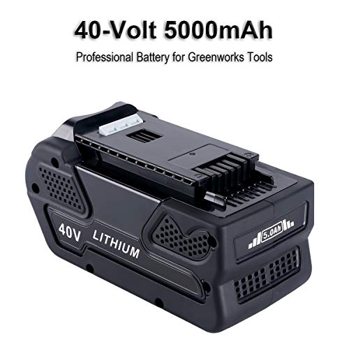 Biswaye 29472 Replacement Lithium Battery 40V 5.0Ah for GreenWorks 40V G-MAX Power Tools 29462 29252 20202 22262 25312 25322 20642 22272 27062 21242