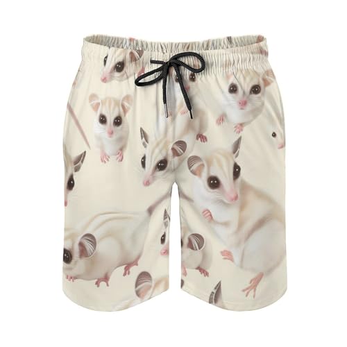 Maillots de bain pour hommes et board shorts de surf à séchage rapide