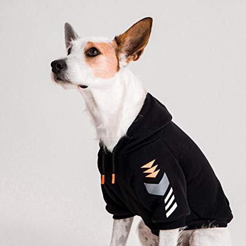 Moletom com Capuz para Cães, Dog Wings, Hoodie Speed, PP